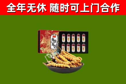 和田回收冬虫夏草价格